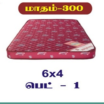 15/2  பெட் 