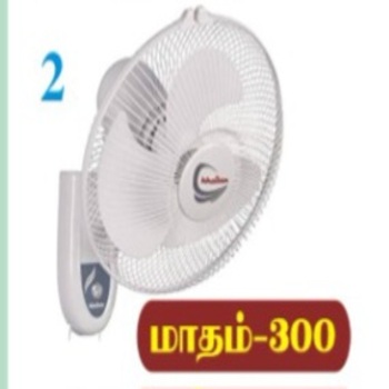 16/2 வால் பேன் 